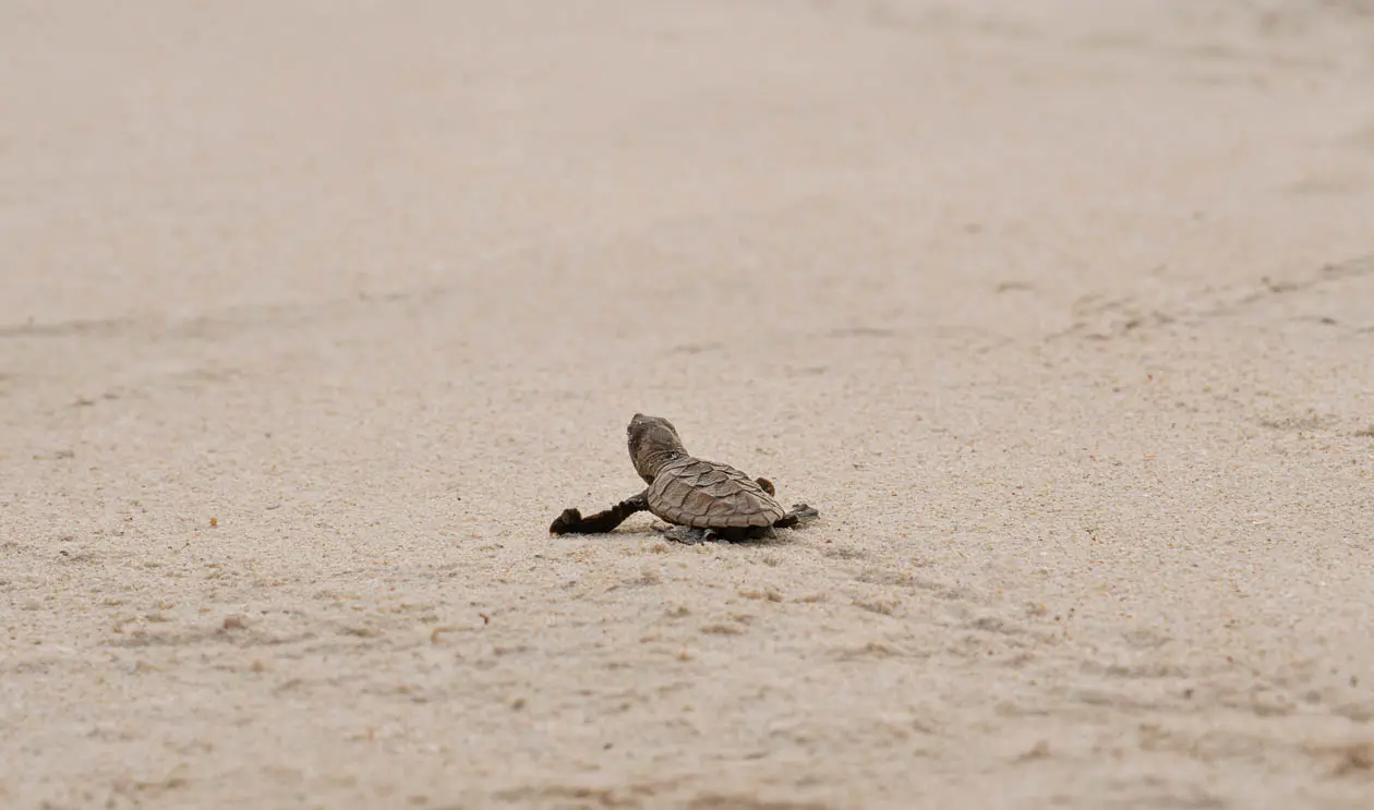 Constance Lemuria, Seychelles Copyright © Constance Hotels & Resorts