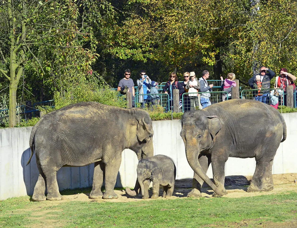 Ostrava Zoo Copyright © Sisterscom.com / Shutterstock