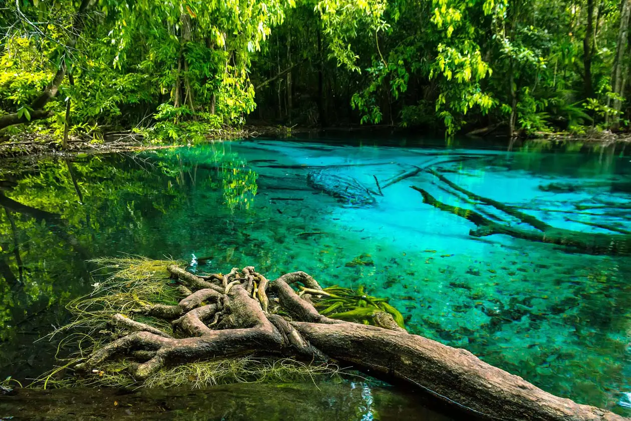 Riserva Naturale di Khao Pra-Bang Khram, Laghetto Smeraldo, Krabi, Thailandia Foto: Copyright © Sisterscom.com / Depositphotos