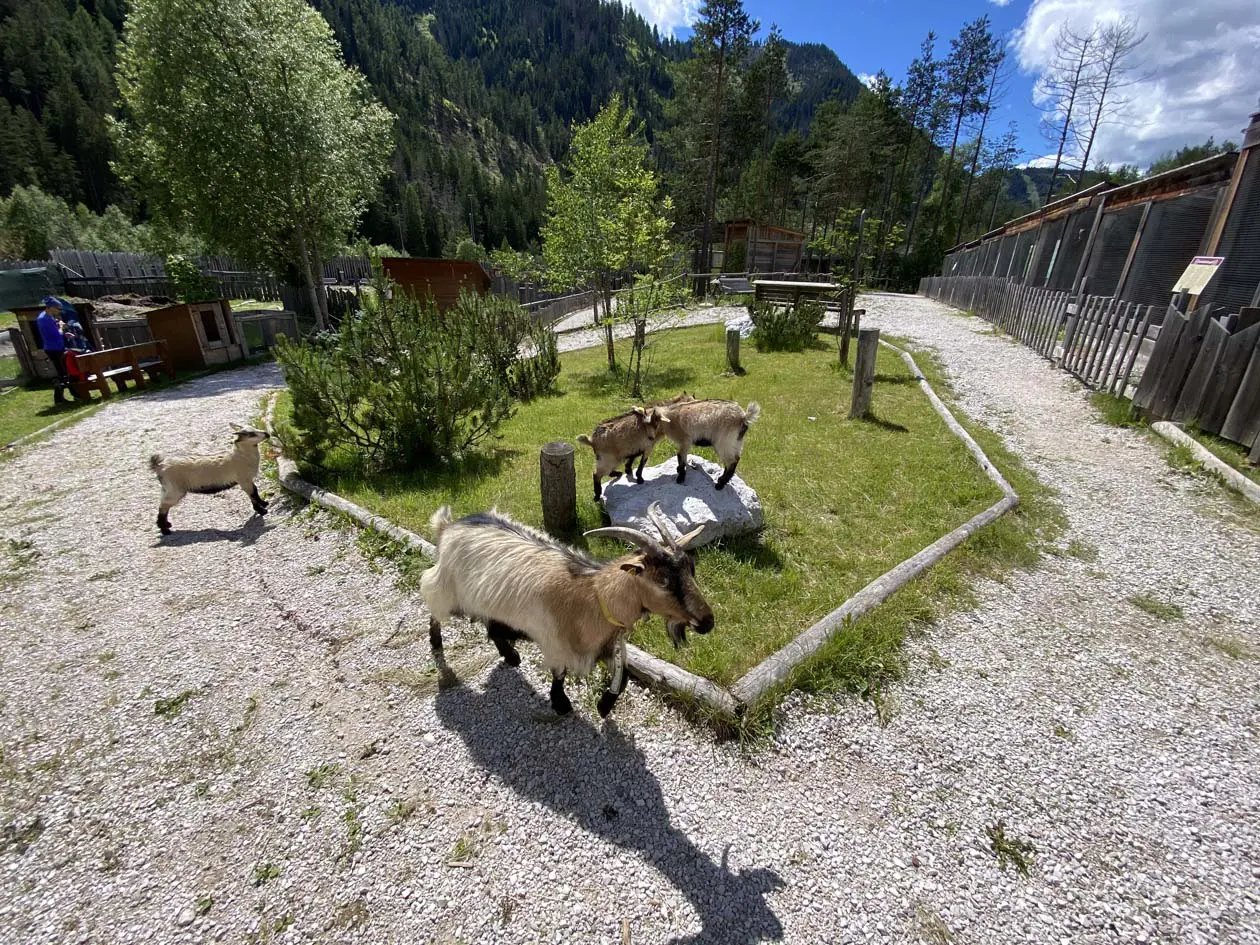 Parco dei Gufi - Owl Park San Vigilio Foto: Copyright © Sisterscom.com / Avion Tourism Magazine