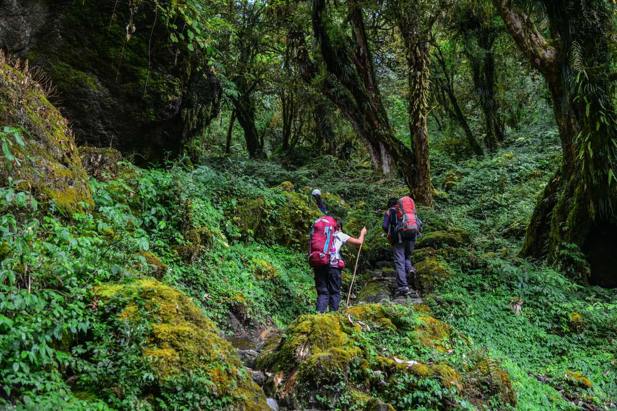 Trekking a Pokhara, Nepal Foto: Copyright © Sisterscom.com / Depositphotos