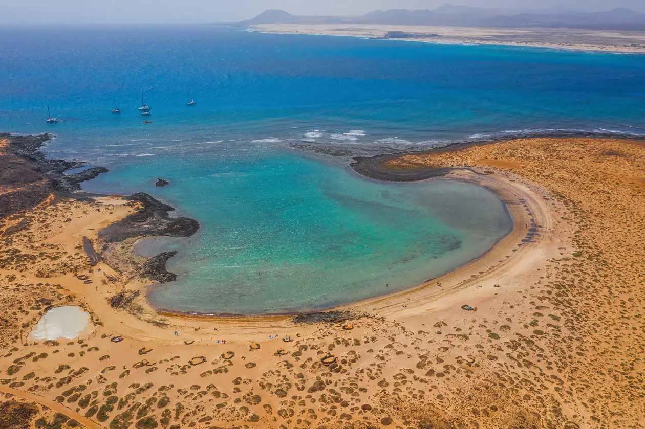 Isola di Lobos