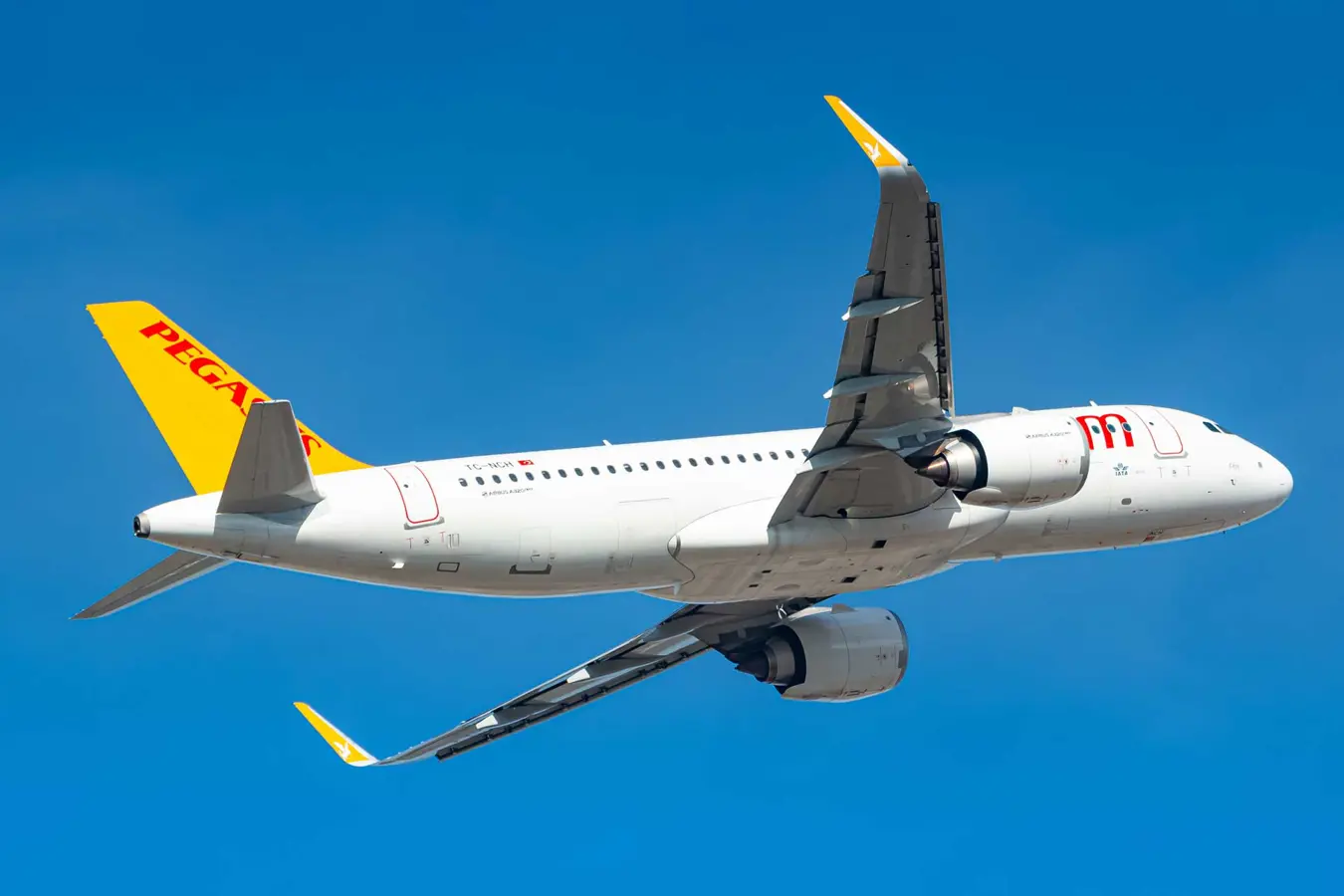 Pegasus Airlines