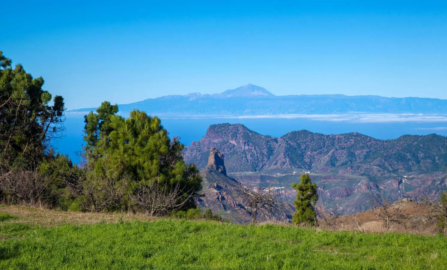 Gran Canaria. Caldera de Tejeda.