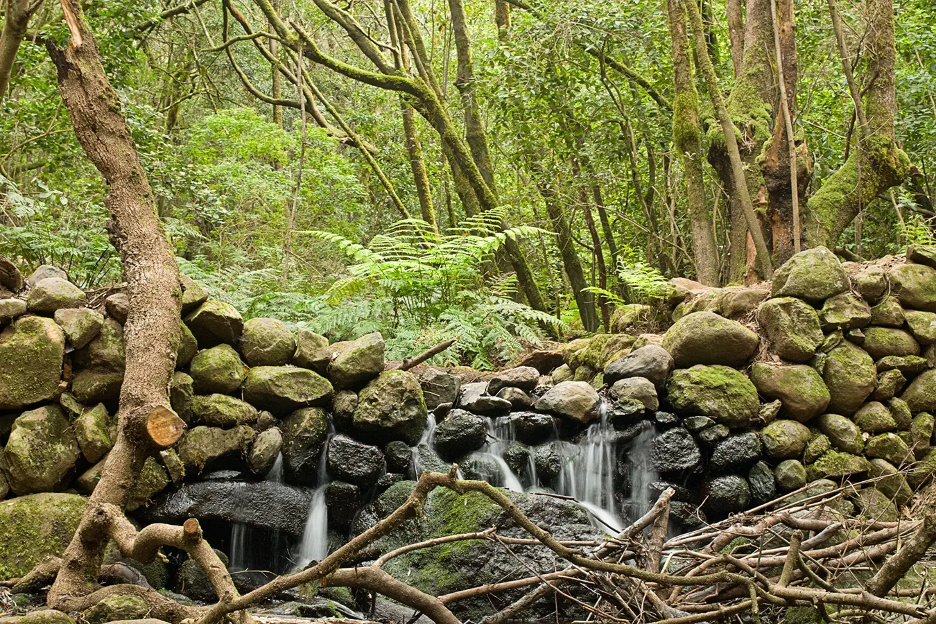 La Gomera