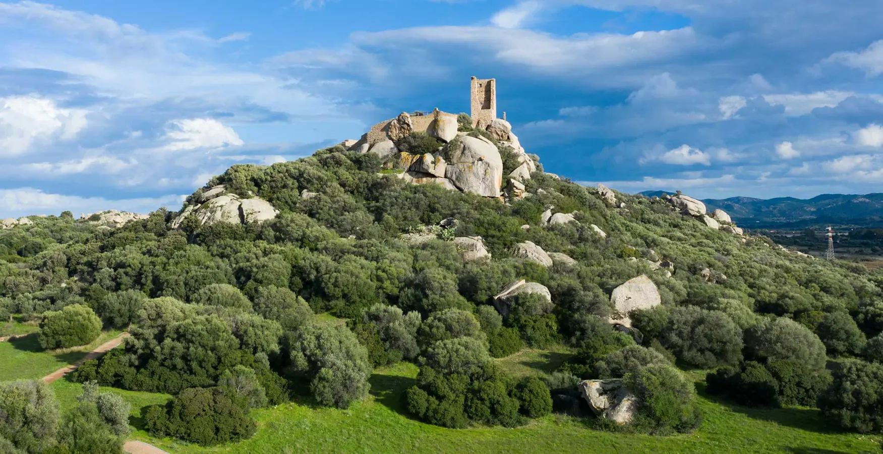 Castello di Pedres, Olbia