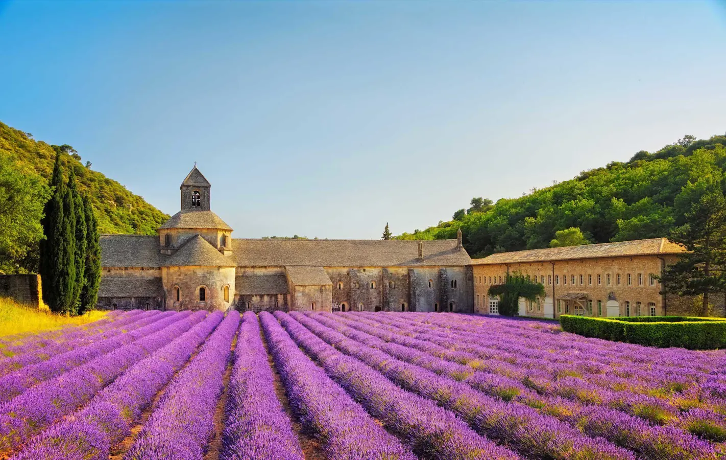 Abbazia di Senanque. Gordes, Luberon, Vaucluse, Provenza, Francia.