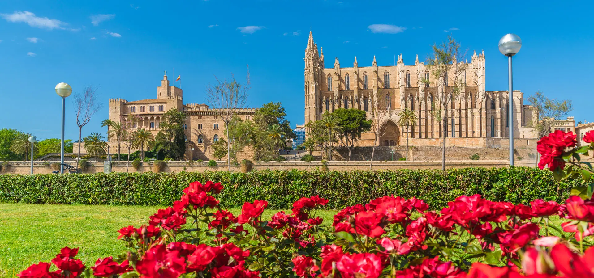 Palma de Mallorca. La Seu Cathedral.