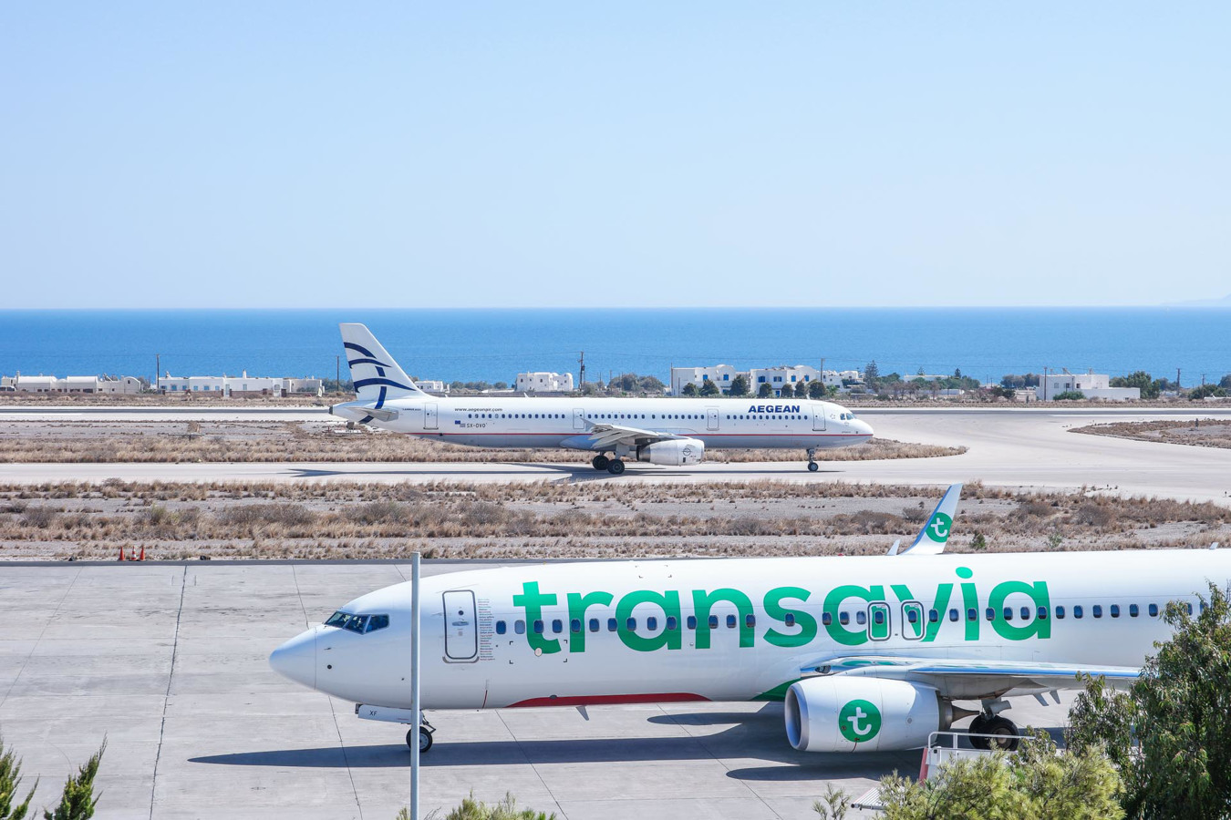 Aegean e Transavia.