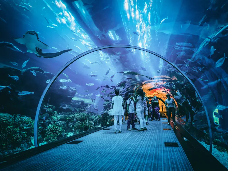 Acquarium of Dubai. 