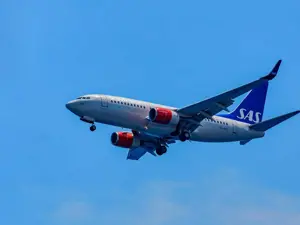 SAS porta a bordo il caffè di Lykke Coffee Farms