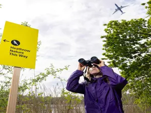 Heathrow apre una torre per l'osservazione degli uccelli