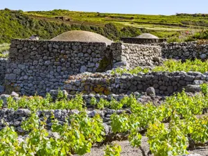 Museo virtuale della vite ad alberello di Pantelleria