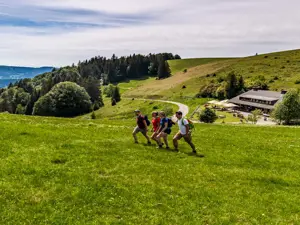 Foresta Nera in bici e a piedi