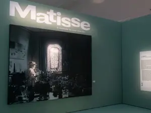 Matisse at Mudec in Milan