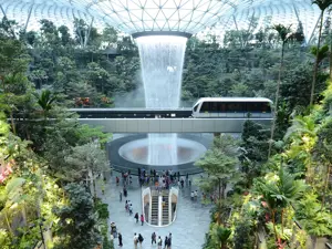 Changi Airport, an oasis between nature and innovation: from the bamboo grove to the mangrove aquarium