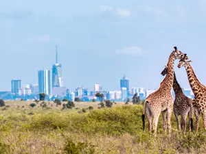 flydubai amplia i collegamenti con il Kenya