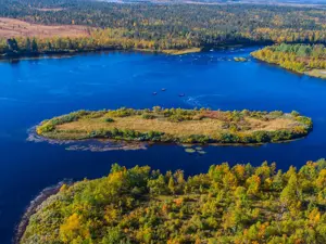 Viaggio lento: vita artica nella natura della Lapponia svedese