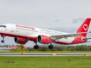 AnimaWings vola a Olbia dalla Romania