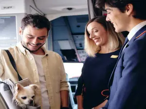 Iberia makes travelling with pets easy