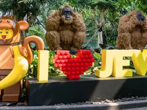 Jewel Changi fiorisce con LEGO Botanicals