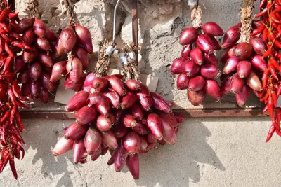 Tropea onions Copyright © Sisterscom.com / Depositphotos