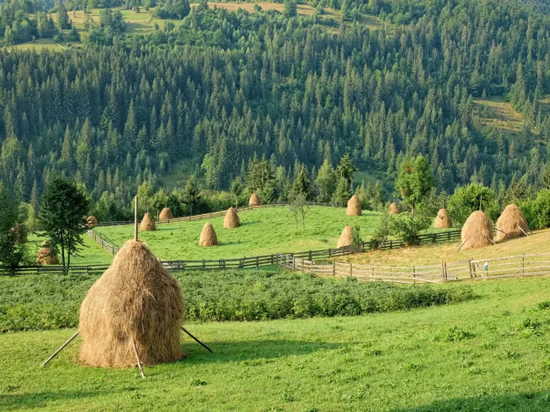 Parco Monti Apuseni