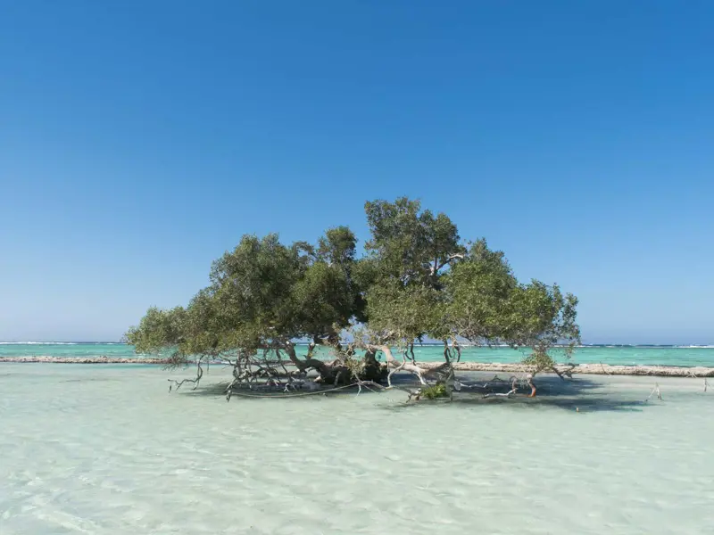 Wadi El Gemal National Park