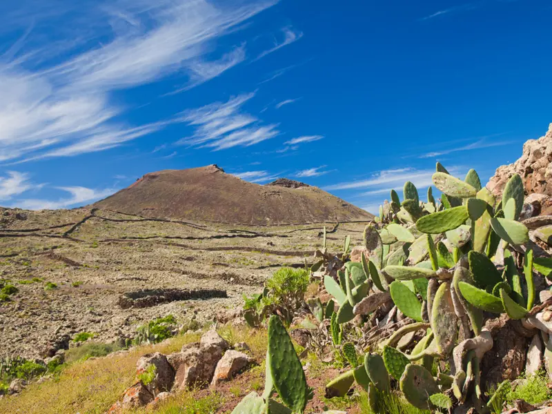 Fuerteventura. Malpais de la Arena.