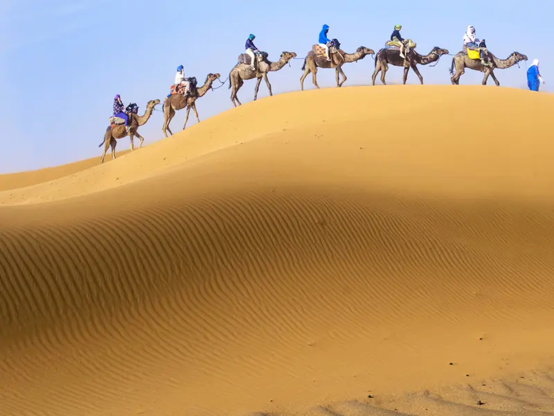 Marsa Alam. Desert safari. 