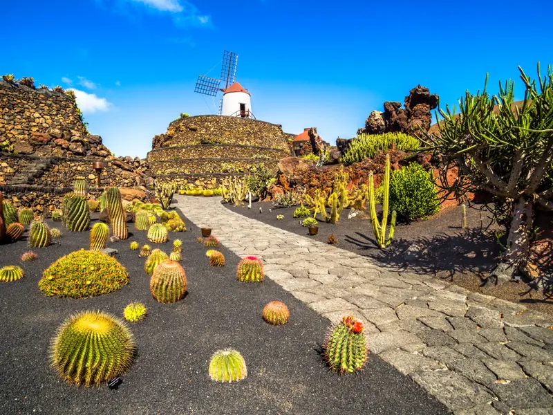 Lanzarote. Giardino dei cactus.