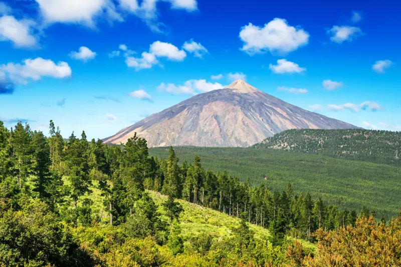 Tenerife. Parco Nazionale del Teide.