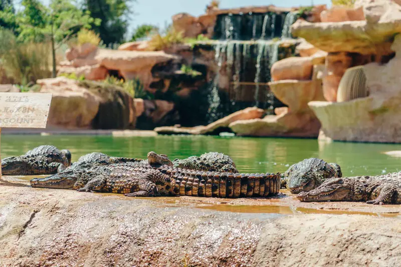 Crocopark, Agadir