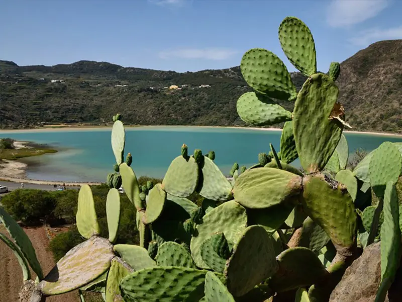 Pantelleria