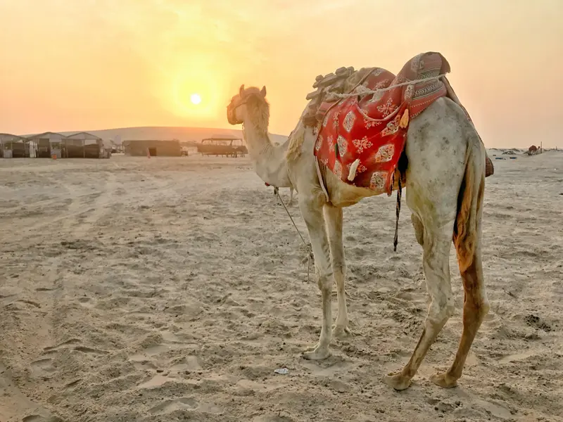 Deserto di Doha. 