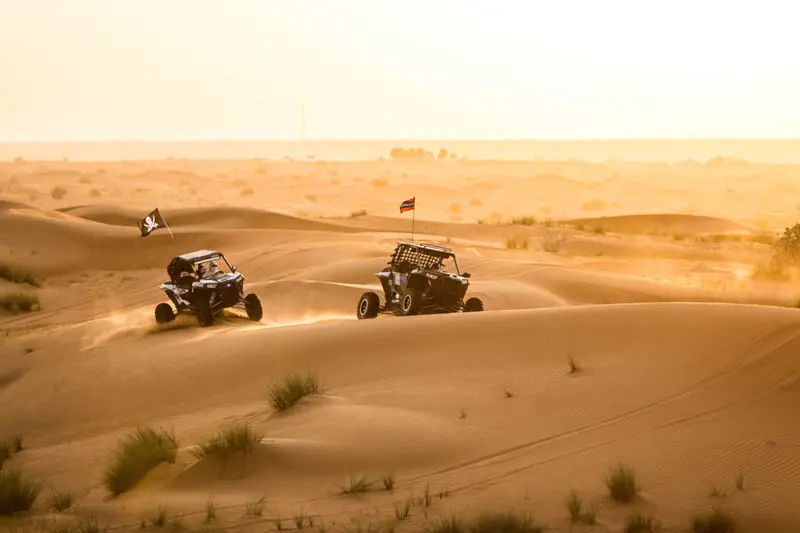 Dubai. Safari nel deserto. 