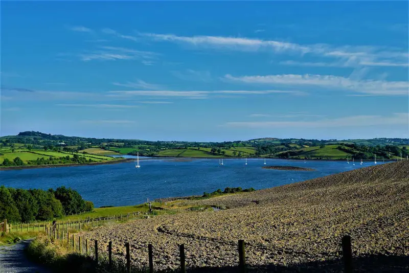 Strangford Lough.