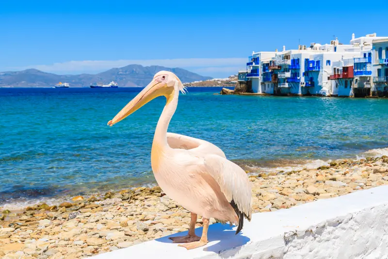 Mykonos.