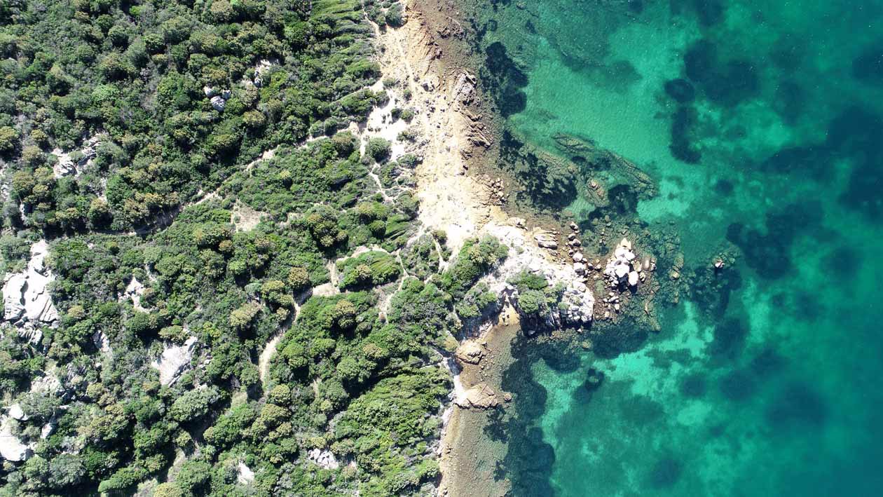 Cone Club Sardinia, il Beach Club del 7Pines Resort Sardinia