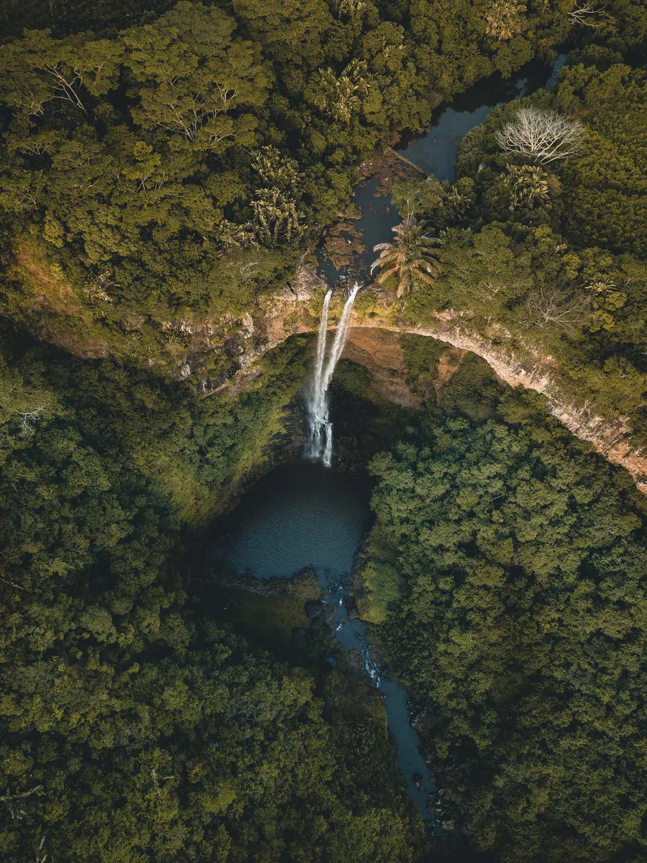 SCENERIES NATURE, CHAMAREL WATERFALL. Copyright © Mauritius Tourism Promotion Authority