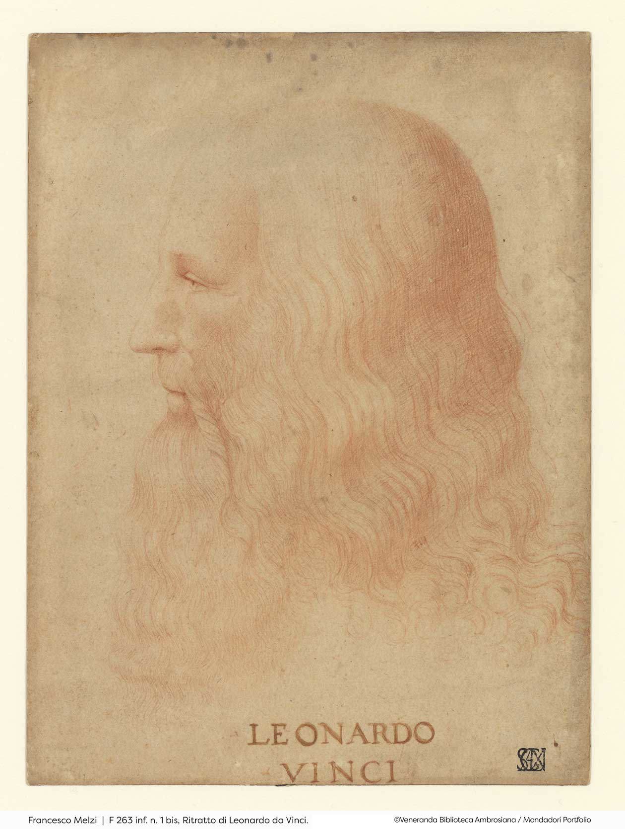 Francesco Melzi, Ritratto di Leonardo da Vinci. Copyright © Veneranda Biblioteca Ambrosiana / Mondadori Portfolio.