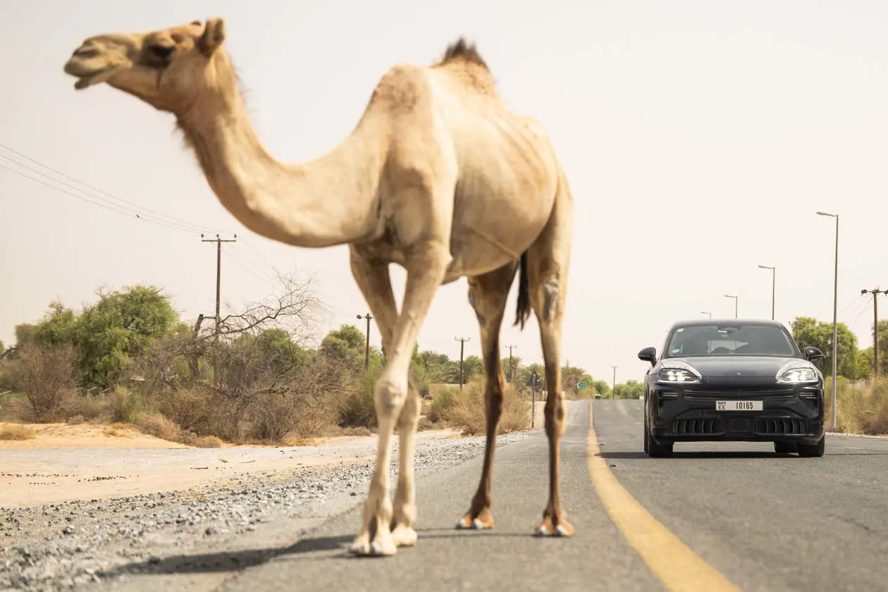 Cayenne Electric - Porsche Foto: © Dr. Ing. h.c. F. Porsche AG.