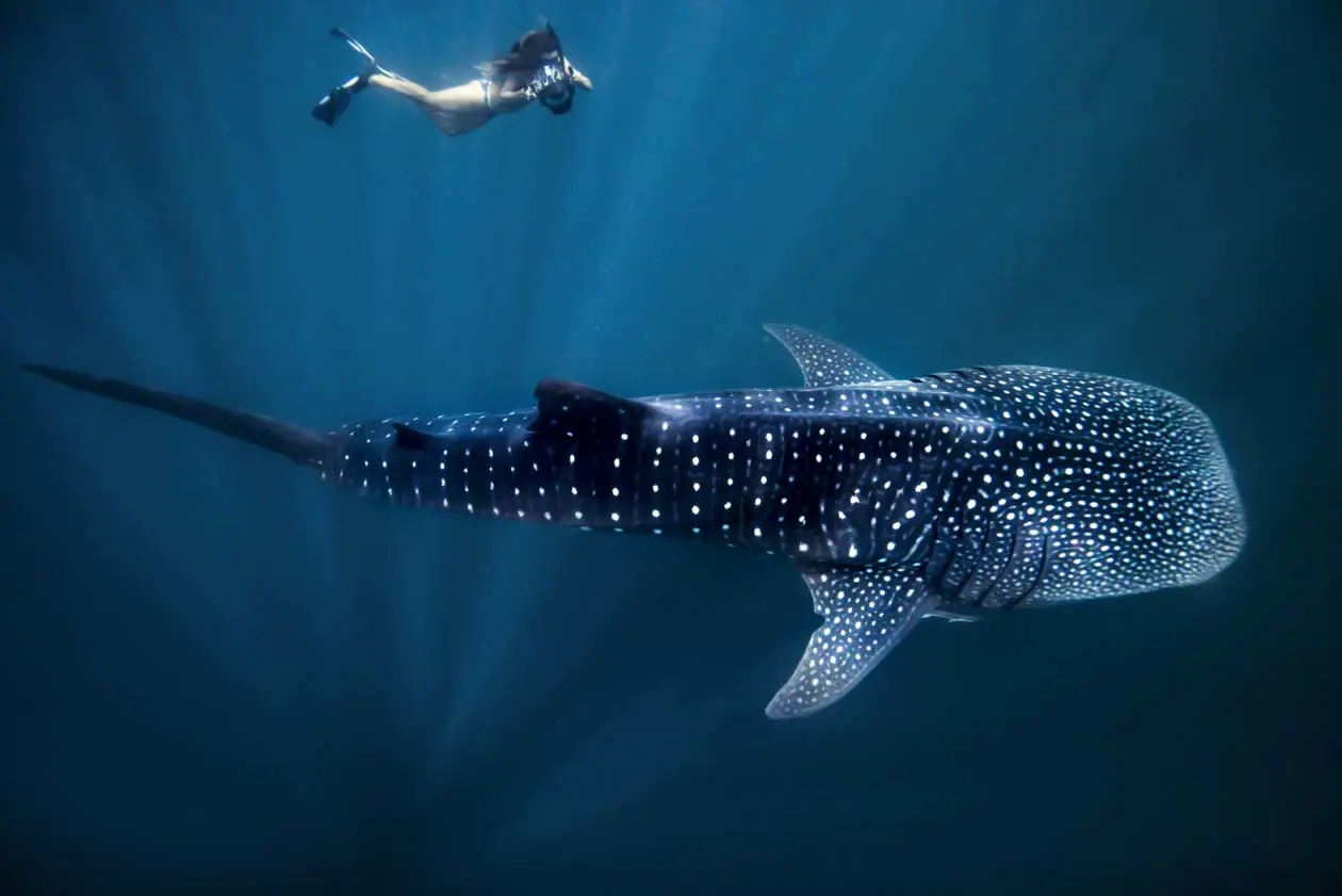 Coral Coast (c)Tourism Western Australia