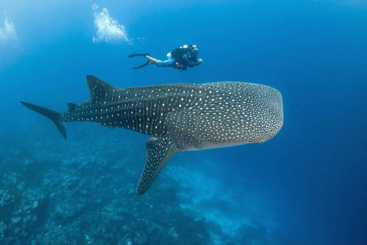 Fakarava © Bernard Beaussier