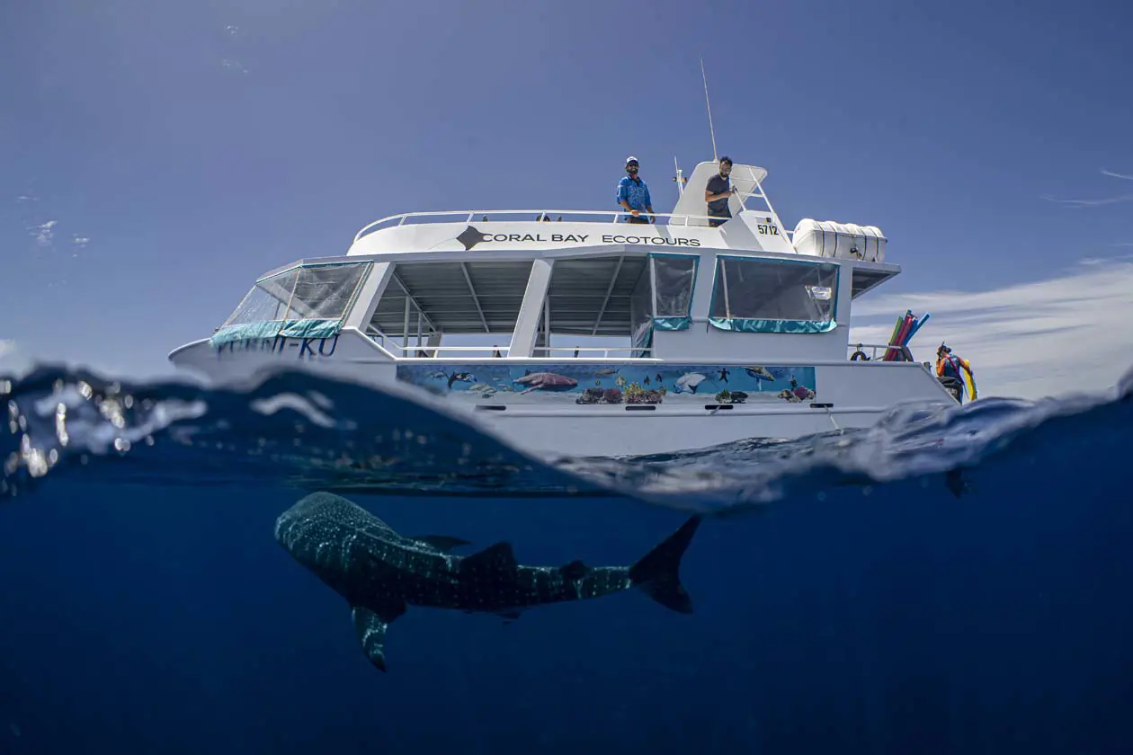Ningaloo Reef, Coral Bay (c) Tourism Western Australia