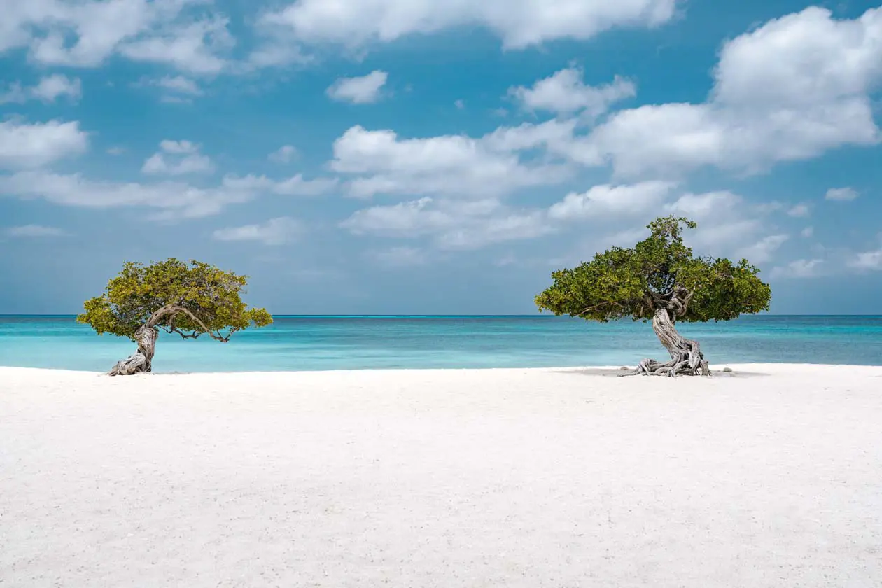 Copyright © Licensed by the Aruba Tourism Authority, aruba.com