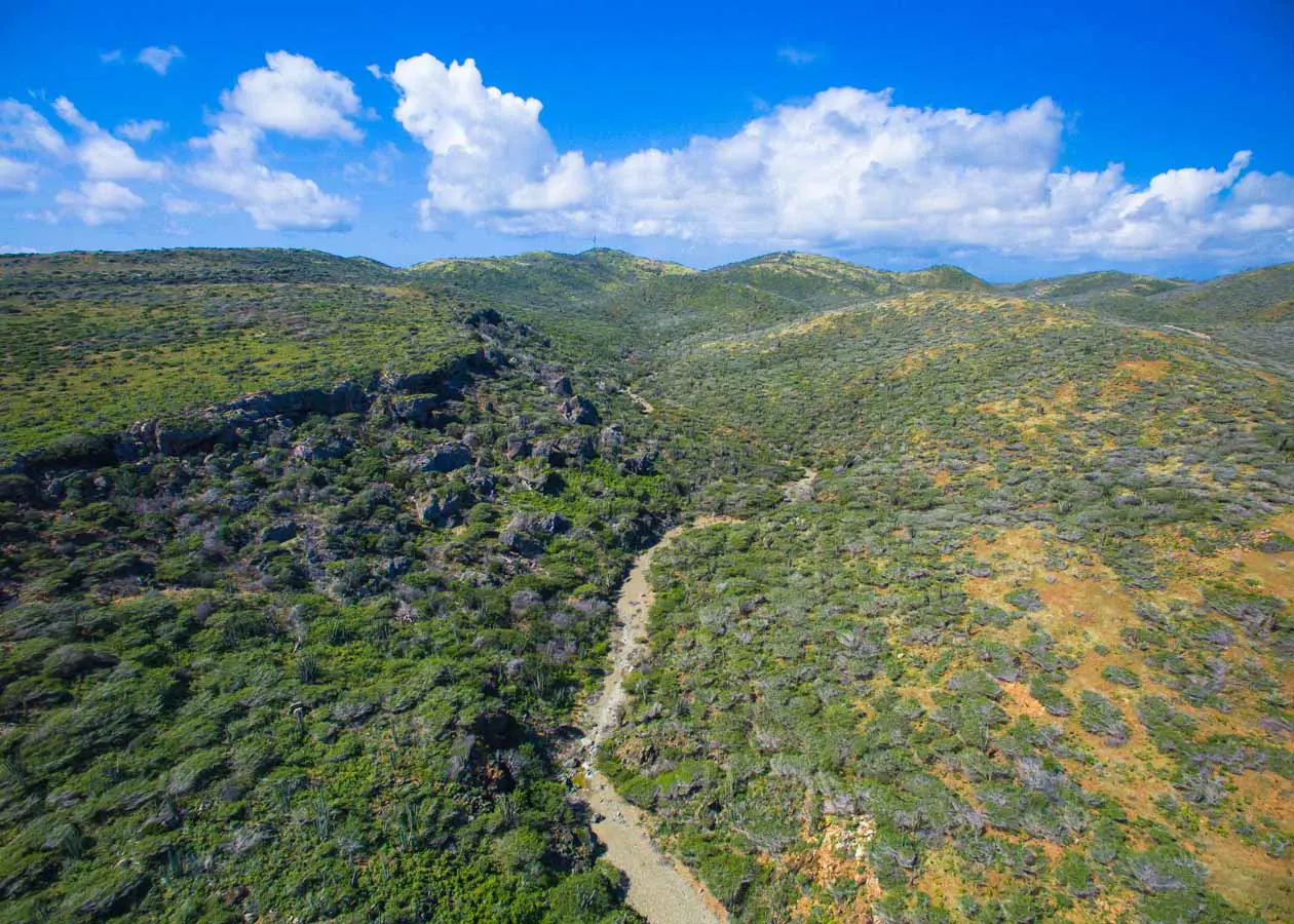 isola di aruba