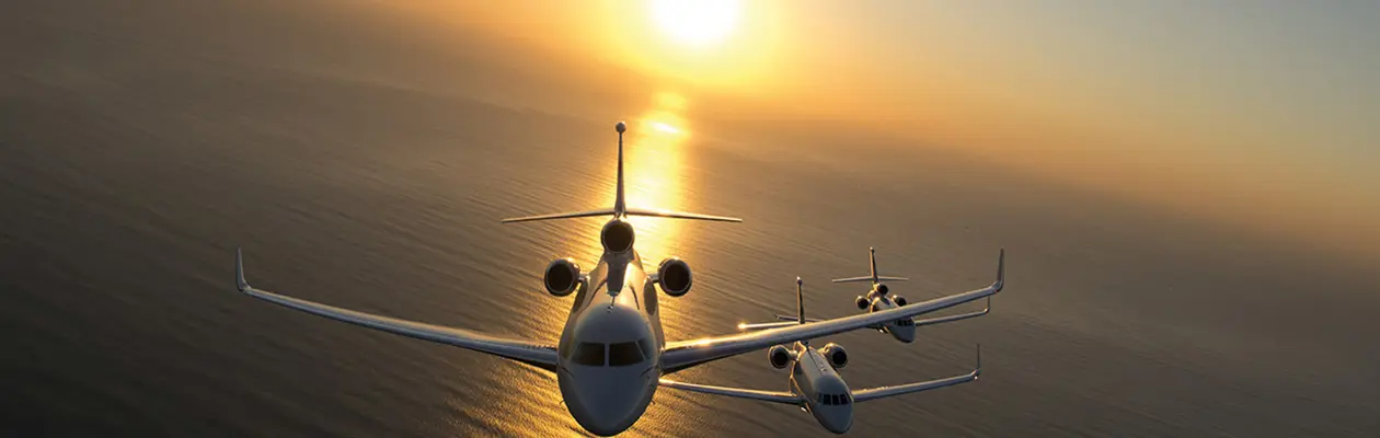 Le ali della leggerezza