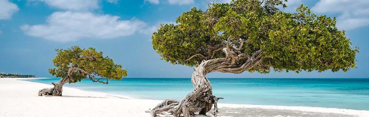 Un viaggio nella Riserva della Biosfera dell'isola di Aruba