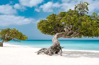 Un viaggio nella Riserva della Biosfera dell'isola di Aruba